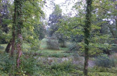 Historic park for sale Iłowa, Kolejowa 11, Lubusz, Photo 6/17