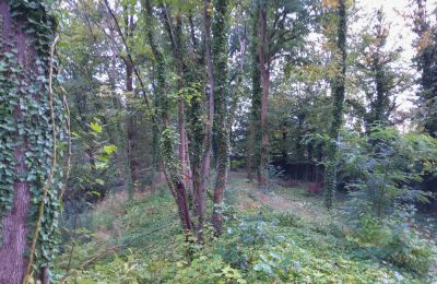 Historic park for sale Iłowa, Kolejowa 11, Lubusz, Photo 7/17