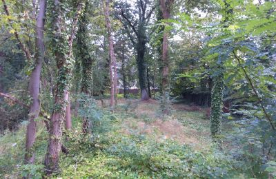 Historic park for sale Iłowa, Kolejowa 11, Lubusz, Photo 9/17