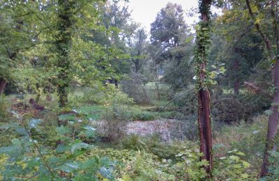 Historic park for sale Iłowa, Kolejowa 11, Lubusz, Photo 10/17