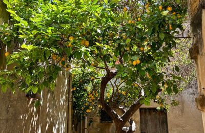 Bypalæ til salg Ribera, Roma 37, Sicilia, Cortile