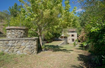 Mill for sale Cortona, strada provinciale 34, Tuscany, Photo 10/35