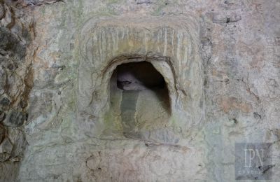 Mill for sale Cortona, strada provinciale 34, Tuscany, Photo 15/35