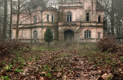 Castle for sale Cisie-Zagrudzie, Masovian Voivodeship:  