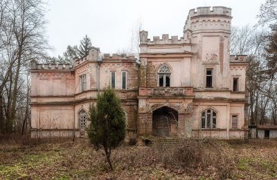 Castle for sale Cisie-Zagrudzie, Mazovia,, Photo 1/4