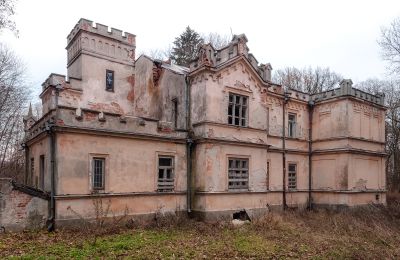 Castle for sale Cisie-Zagrudzie, Masovian Voivodeship:  