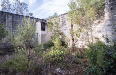 Country home for sale Manduria, Via per Lecce km 2, Apulia, Photo 19/31