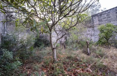 Country home for sale Manduria, Via per Lecce km 2, Apulia, Photo 20/31
