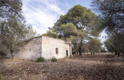 Country home for sale Manduria, Via per Lecce km 2, Apulia, Photo 25/31