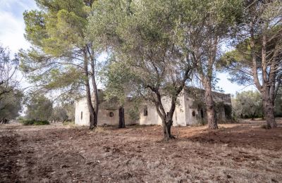 Country home for sale Manduria, Via per Lecce km 2, Apulia, Photo 27/31
