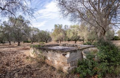 Country home for sale Manduria, Via per Lecce km 2, Apulia, Photo 28/31