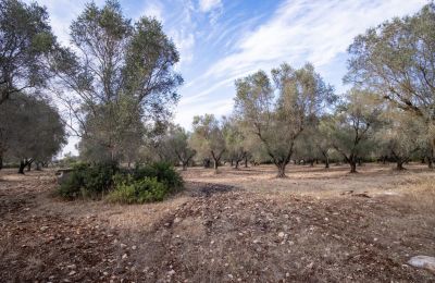 Country home for sale Manduria, Via per Lecce km 2, Apulia, Photo 29/31