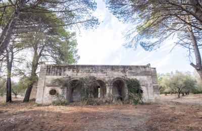 Country home for sale Manduria, Via per Lecce km 2, Apulia, Photo 30/31