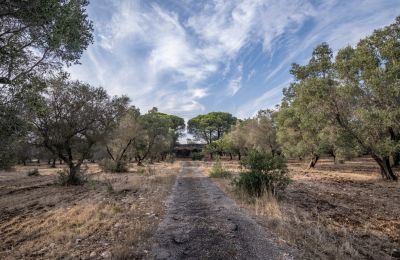 Country home for sale Manduria, Via per Lecce km 2, Apulia, Photo 31/31