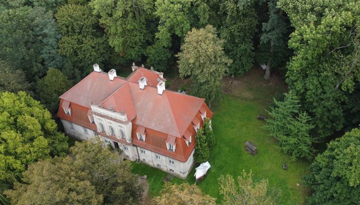 Manor House for sale Popowo Stare, Greater Poland,  Poland