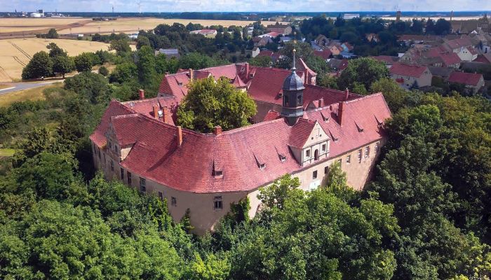 Castle for sale Mühlberg/Elbe, Brandenburg,  Germany