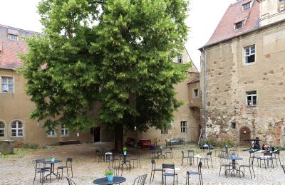 Castle for sale Mühlberg/Elbe, Schlossplatz 1, Brandenburg, Photo 8/20