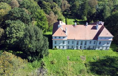 Castle for sale Siedlec, Pałac w Siedlcu, Greater Poland, Pałac w Siedlcu