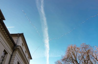 Castle for sale Siedlec, Pałac w Siedlcu, Greater Poland, Photo 20/20