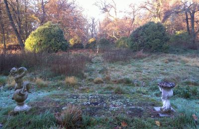 Castle for sale Siedlec, Pałac w Siedlcu, Greater Poland, Palace Garden