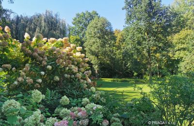 Mill for sale Netvořice, okres Benešov, Photo 16/21