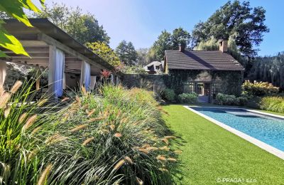 Mill for sale Netvořice, okres Benešov, Photo 3/21