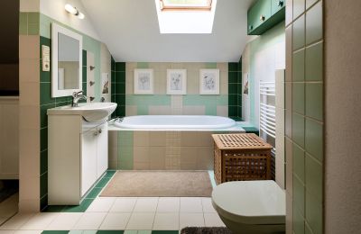 Mill for sale Netvořice, okres Benešov, Photo 11/21