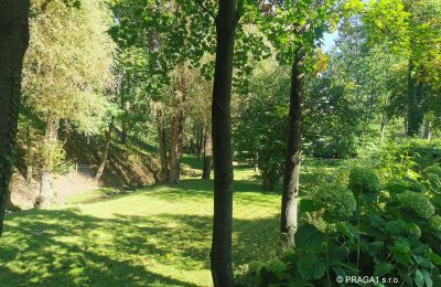 Mill for sale Netvořice, okres Benešov, Photo 21/21