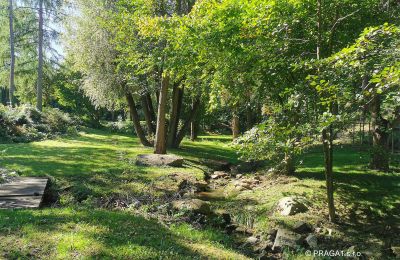Mill for sale Netvořice, okres Benešov, Photo 15/21