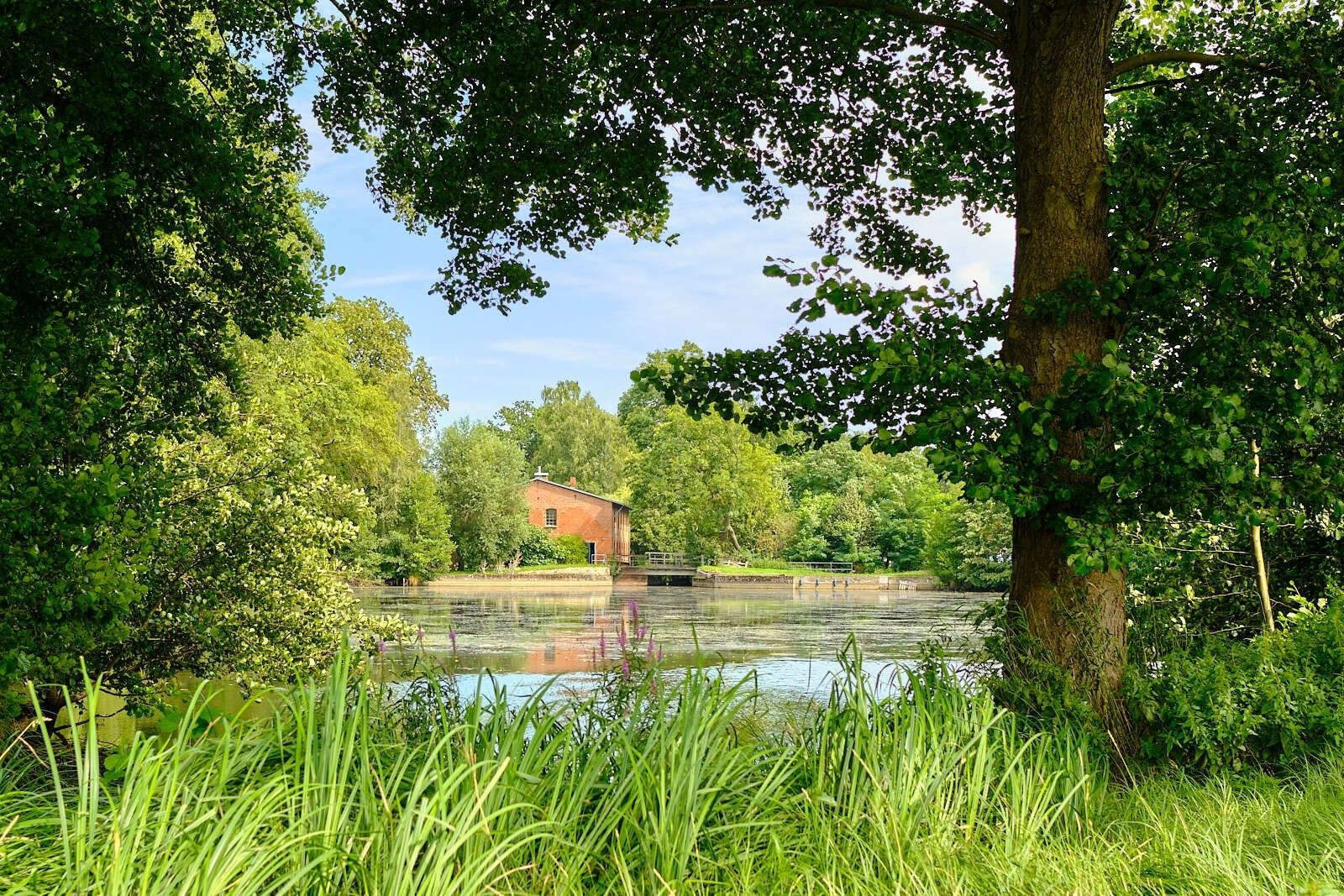 29451 Dannenberg, Lower Saxony for sale