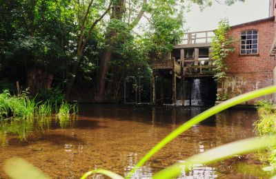 Mill for sale 29451 Dannenberg, Lower Saxony, Photo 19/20