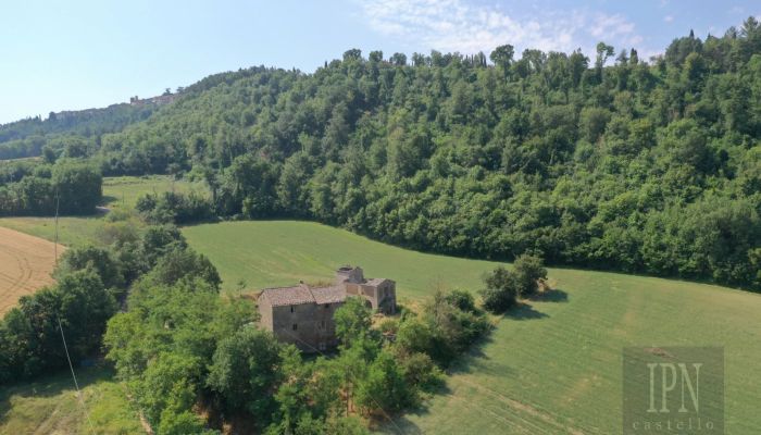  Citerna 4