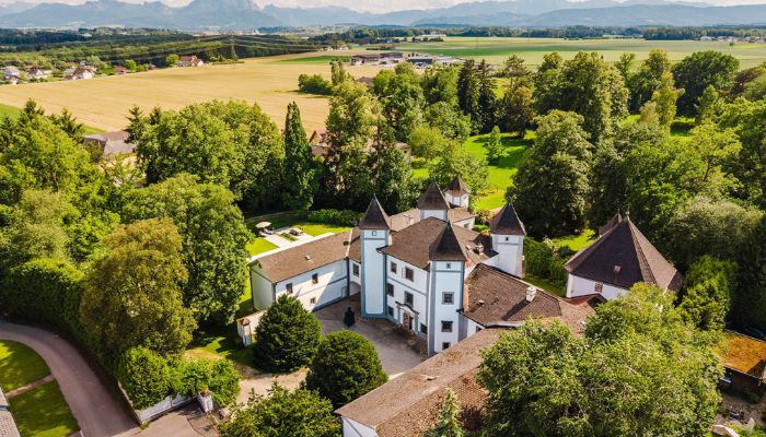 Castle for sale 4693 Desselbrunn, Upper Austria