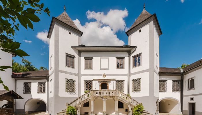 Castle for sale 4693 Desselbrunn, Upper Austria