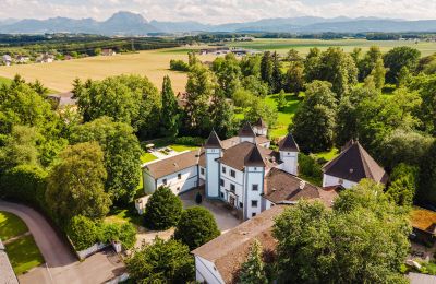 Castle 4693 Desselbrunn, Upper Austria
