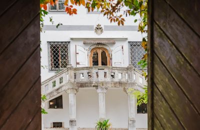 Castle for sale 4693 Desselbrunn, Upper Austria, Märchenhafter Blick