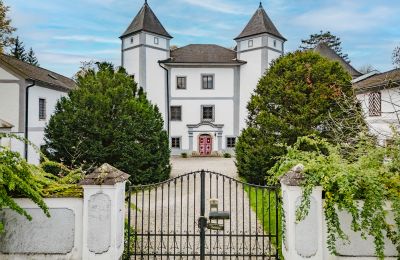 Castle for sale 4693 Desselbrunn, Upper Austria, Die herrschaftliche Rückansicht im Nordosten des Ensembles