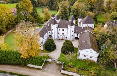 Castle for sale 4693 Desselbrunn, Upper Austria, Drone view