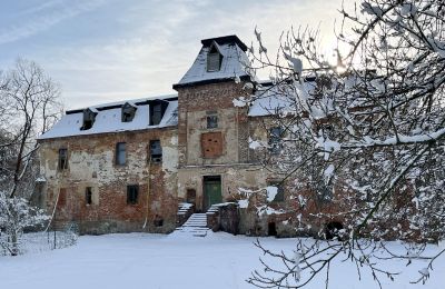 Castle for sale Komorowice, Wrocławska 27, Lower Silesia, Photo 21/27