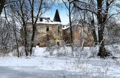 Castle for sale Komorowice, Wrocławska 27, Lower Silesia, Photo 24/27