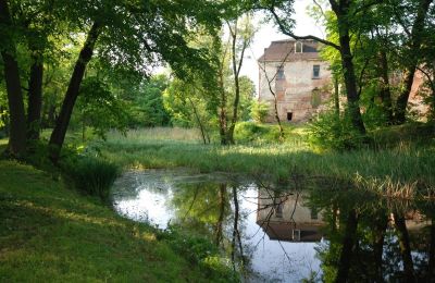 Castle for sale Komorowice, Wrocławska 27, Lower Silesia, Palace Garden