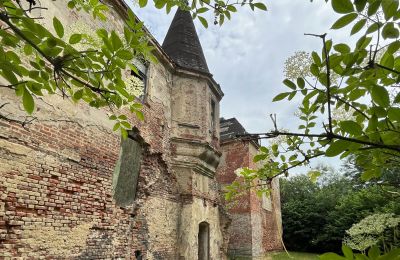 Castle for sale Komorowice, Wrocławska 27, Lower Silesia, Photo 3/27