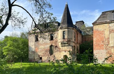 Castle for sale Komorowice, Wrocławska 27, Lower Silesia, Photo 4/27