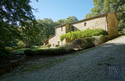 Country property for sale 06019 Umbertide, Umbria, Photo 18/47