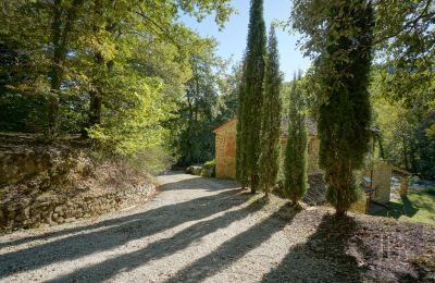 Country property for sale 06019 Umbertide, Umbria, Photo 22/47