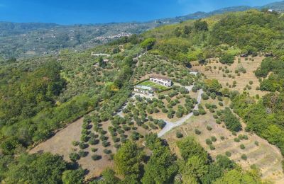 Historic property for sale Montecatini Terme, Tuscany, Photo 2/20