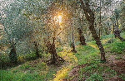 Period mansion for sale Loro Ciuffenna, Tuscany, Photo 4/35