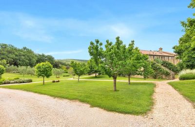 Country property for sale Borgo Santa Rita, Tuscany, Photo 5/31