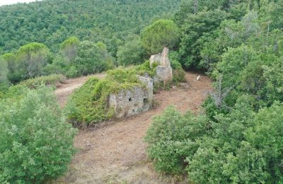 Historic estates, Country House in Pian di Marte with Ruin and 2.8 ha Land