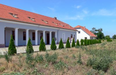 Historic estates, Manor House with 15 Acres near Budapest